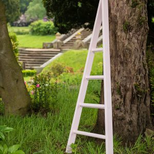 Small Wooden Orchard Ladder painted in Cuprinol Sweet Pea