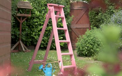 Yes, Pink Ladders